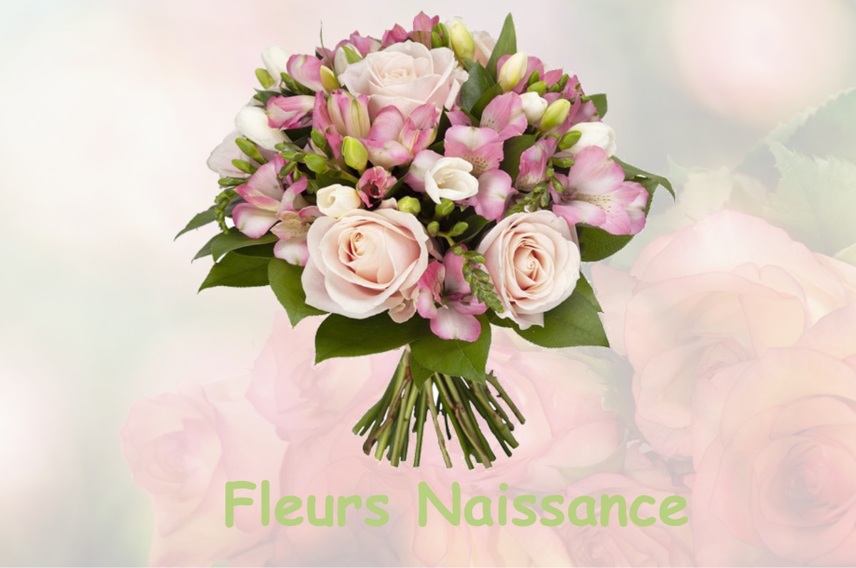 fleurs naissance LE-MOUTARET