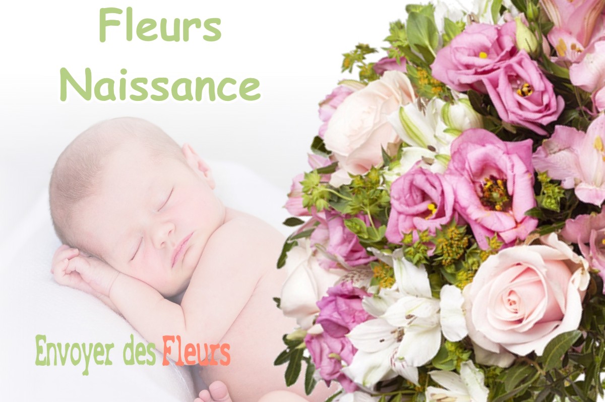 lIVRAISON FLEURS NAISSANCE à LE-MOUTARET